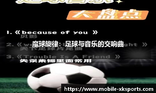 星空体育公司